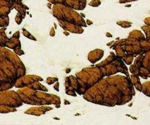 تست هوش