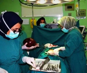 توده بزرگ در شکم
