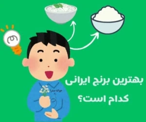 بهترین برنج ایرانی چیه؟! |راهنمای جامع و عالی برای خرید برنج