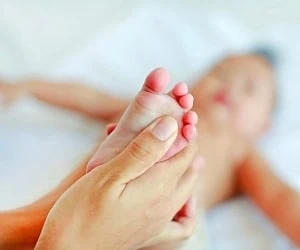 بیضه ها