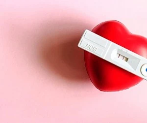 تشکیل قلب جنین