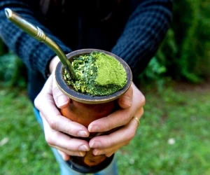 چای یربامیت