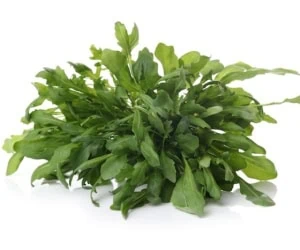 خواص گیاه منداب