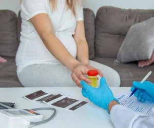 پروتئین در بارداری