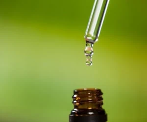 روغن خراطین