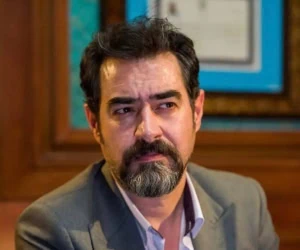 شهاب حسینی