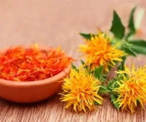  آشنایی و معرفی گیاه “گلرنگ” و نحوه پرورش آن 