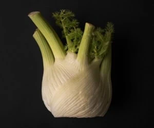 لاغری سریع با رازیانه
