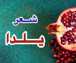 شعر یلدا