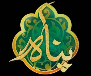 برنامه پناه شبکه دو