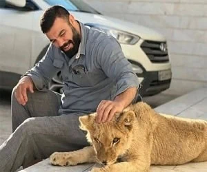 توله شیر امیر علی اکبری