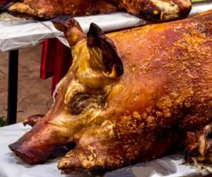  بالاخره گوشت گراز حلال است یا حرام؟ 