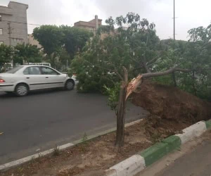 طوفان در تهران