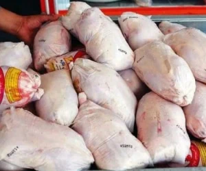 گوشت مرغ