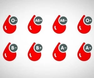افراد موفق