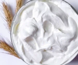 طرز تهیه ماست 