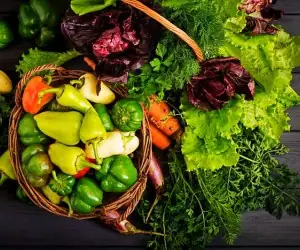 نیاز بدن به سبزیجات