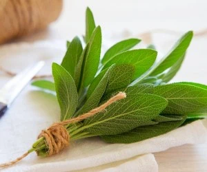 گیاه مرموک