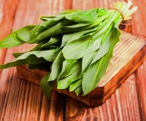 گیاه والک