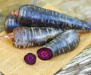 هویج بنفش