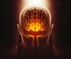 مواد مخدر مغز