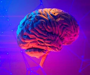 نجات بیمار سکته مغزی