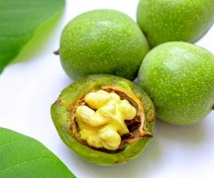 خشك كردن گردوي تازه