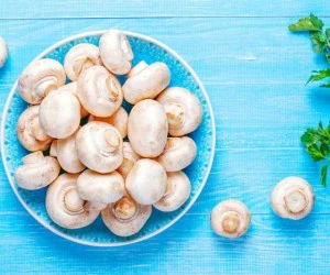 فریز قارچ