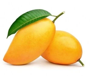 خواص برگ انبه