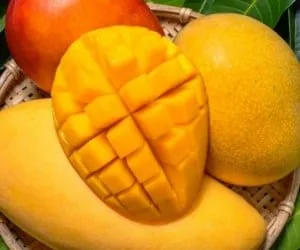 خواص انبه