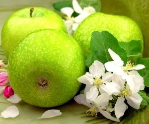 آلرژی به سیب 