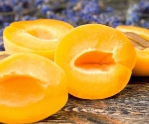 خواص زردآلو