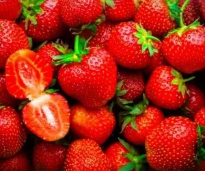 فریز توت فرنگی