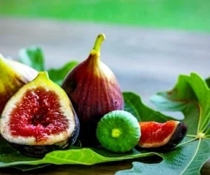 انجیر برای پوست