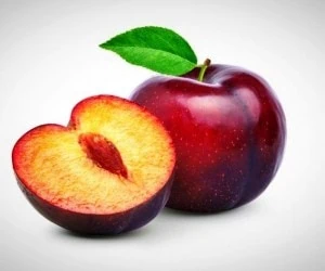 آلو لاغری
