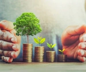 وضع مالی