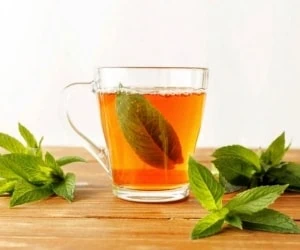 جوشانده نعناع