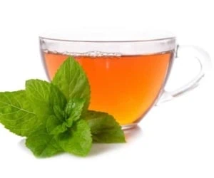 چای نعناع