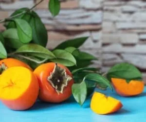 عوارض خرمالو
