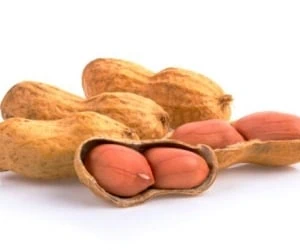 بادام زمینی