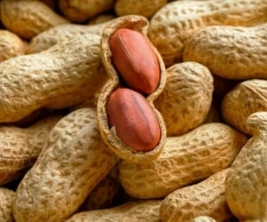 فواید و خواص بادام زمینی