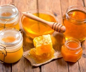  انواع عسل و خواص 48 نوع عسل موجود در دنیا 