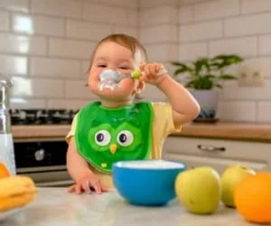 ادویه غذای کودک