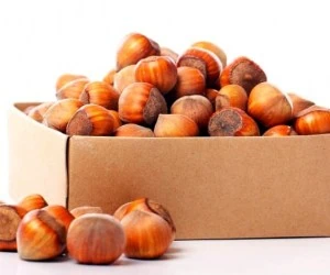 فندق برای پوست