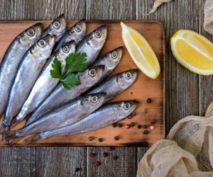 حساسیت به ماهی