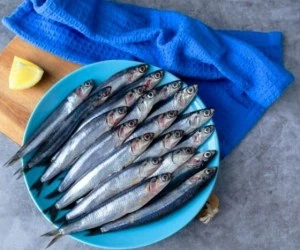 ماهی پرورشی و دریایی