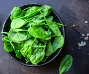 پرورش اسفناج