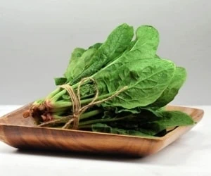 سبزی اسفناج