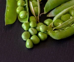 نخود فرنگی در لاغری