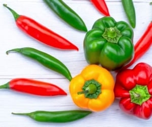 خواص فلفل سیاه